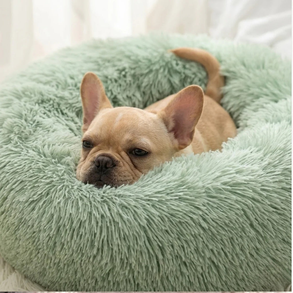 Donut Dog and Cat Bed - Soft Plush Pet Bed for Calming Sleep