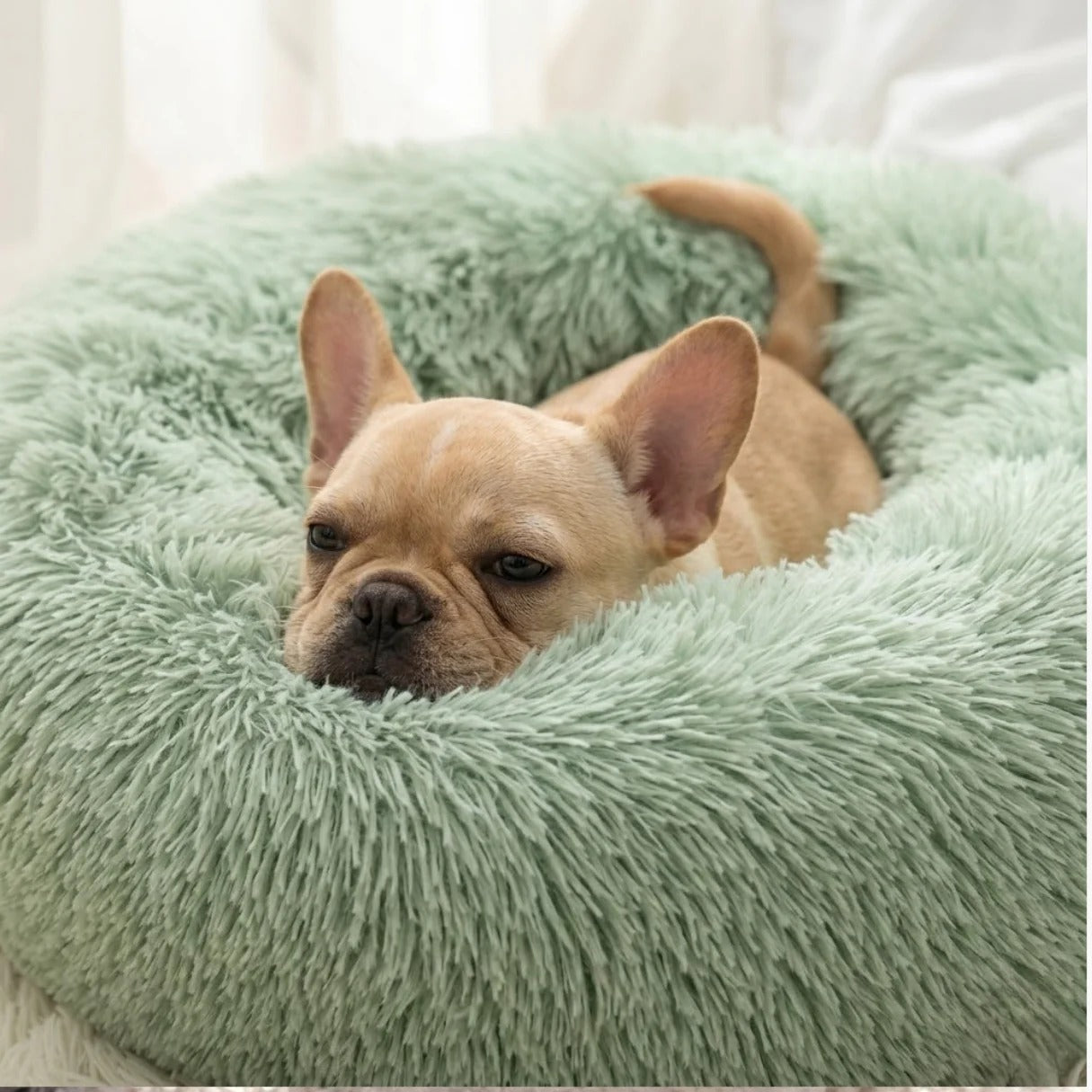 Donut Dog and Cat Bed - Soft Plush Pet Bed for Calming Sleep