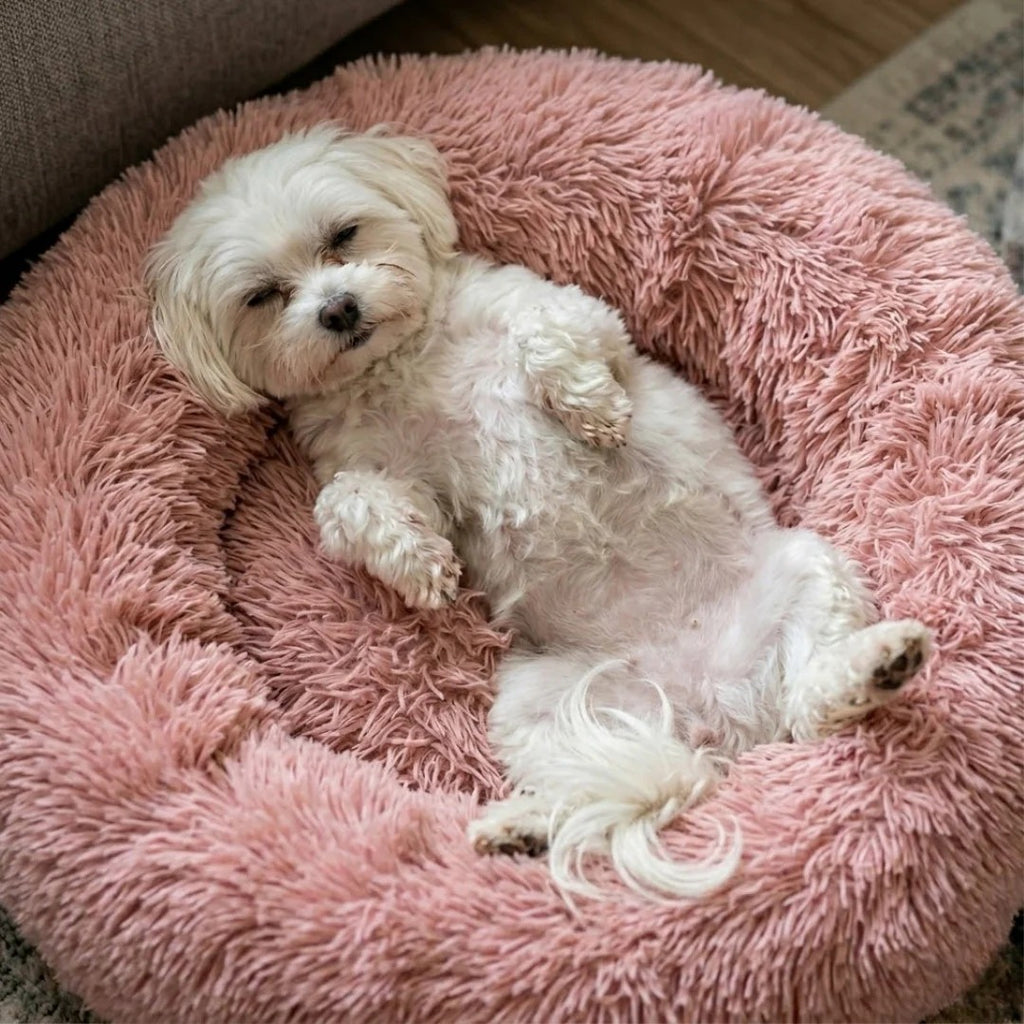 Donut Dog and Cat Bed - Soft Plush Pet Bed for Calming Sleep