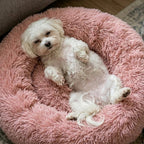 Donut Dog and Cat Bed - Soft Plush Pet Bed for Calming Sleep